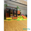 jungle theme indoor playground with ball pit and double slide for toddlers